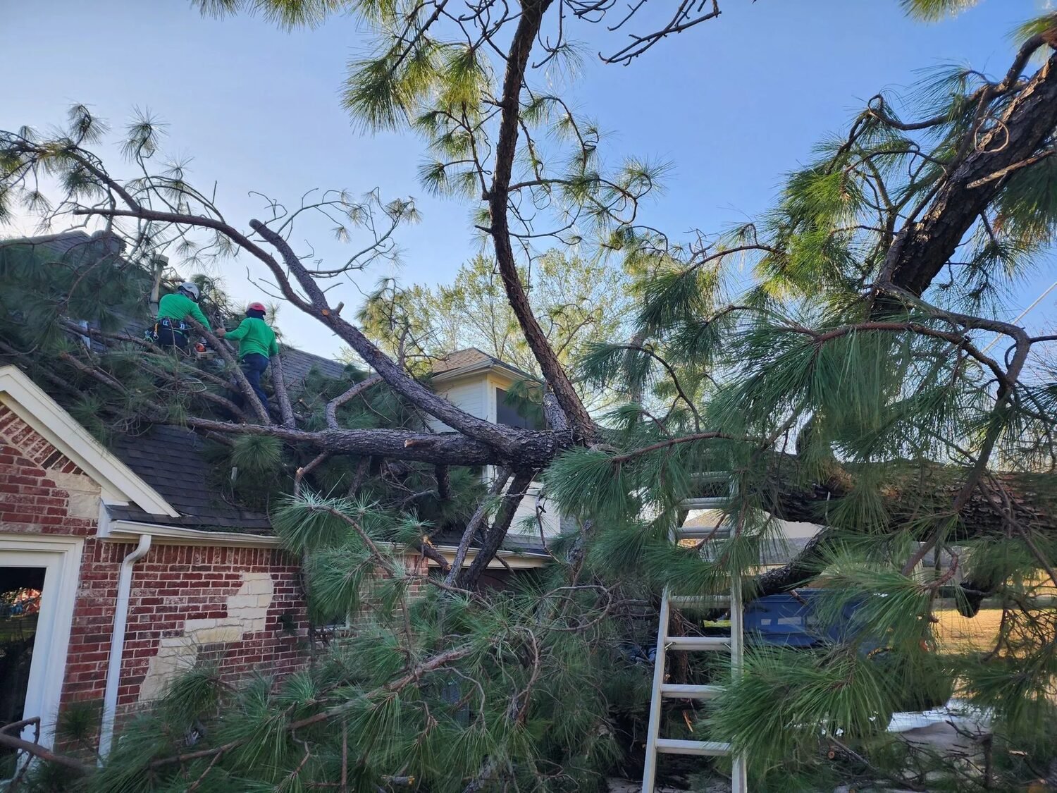 Emergency removal of a tree fallen on a house roof